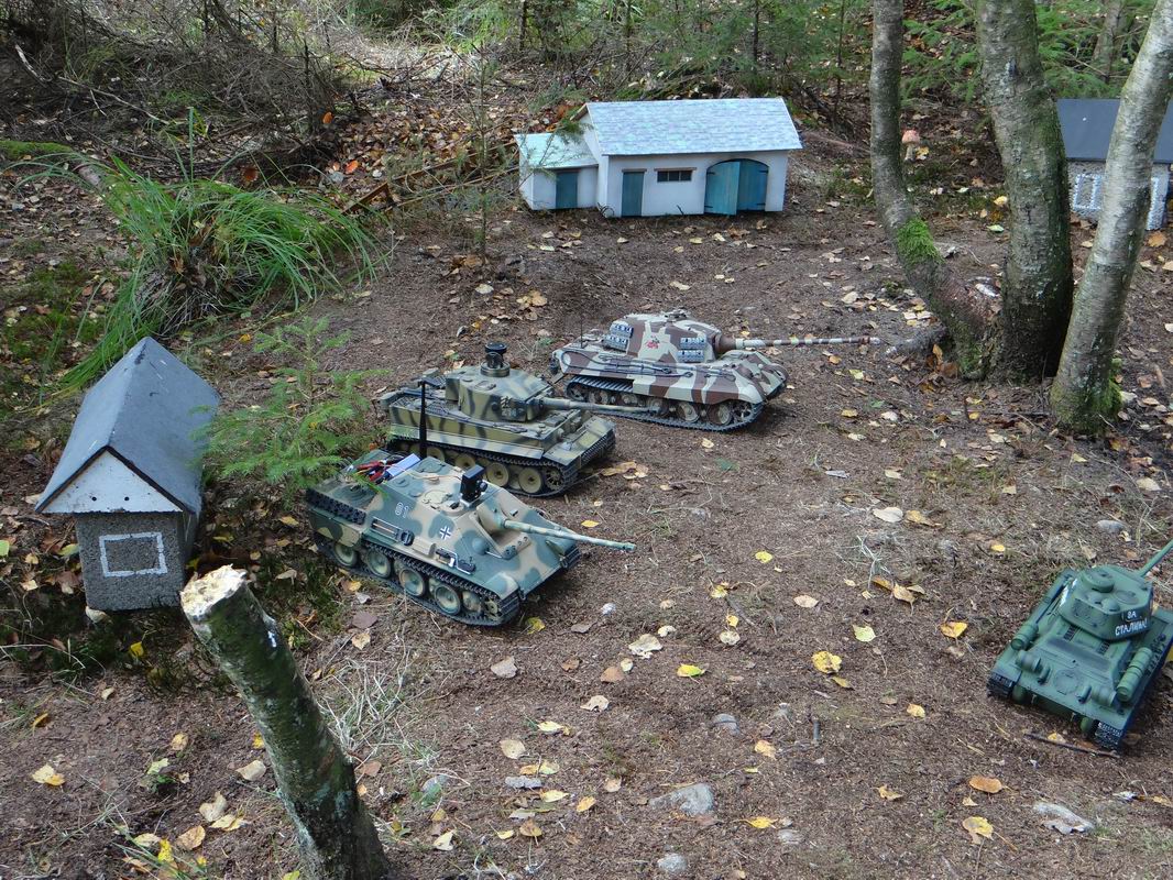 Resize of DSC01980.JPG