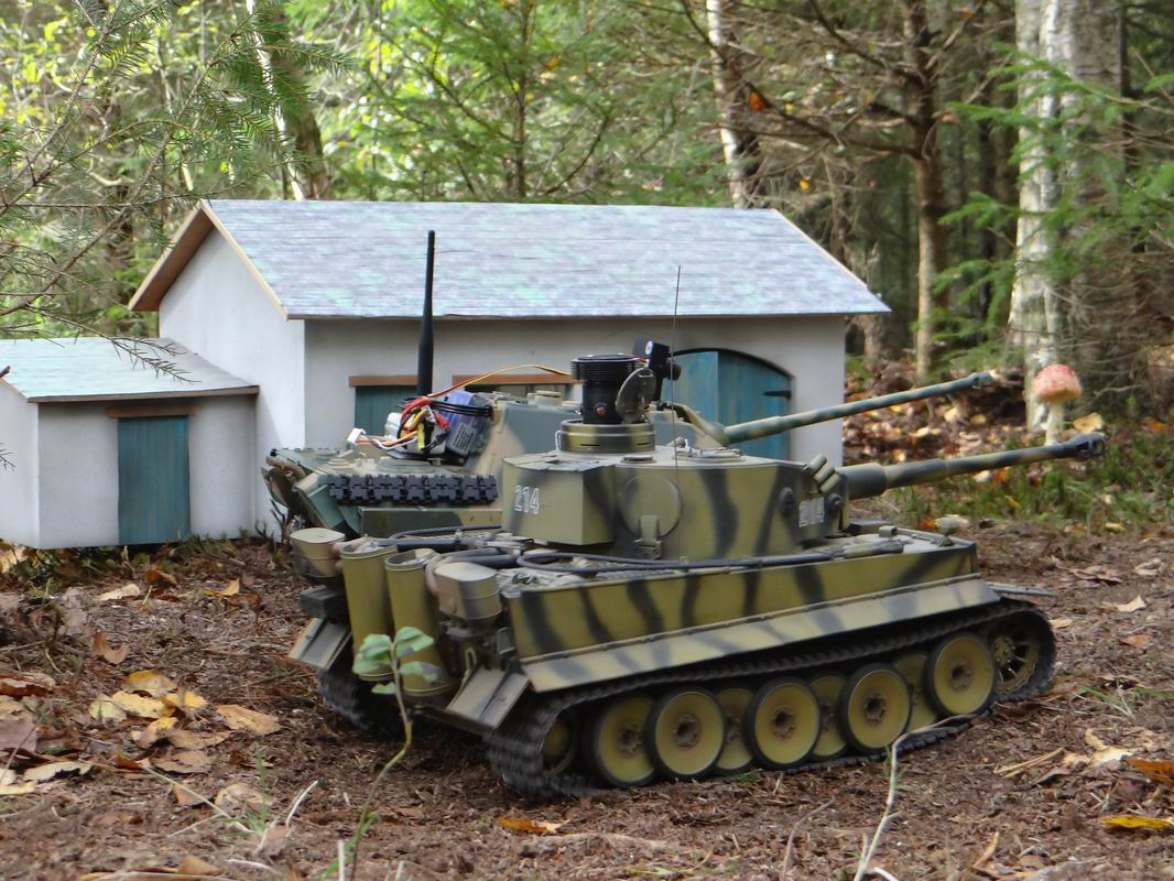 Resize of DSC01989.JPG