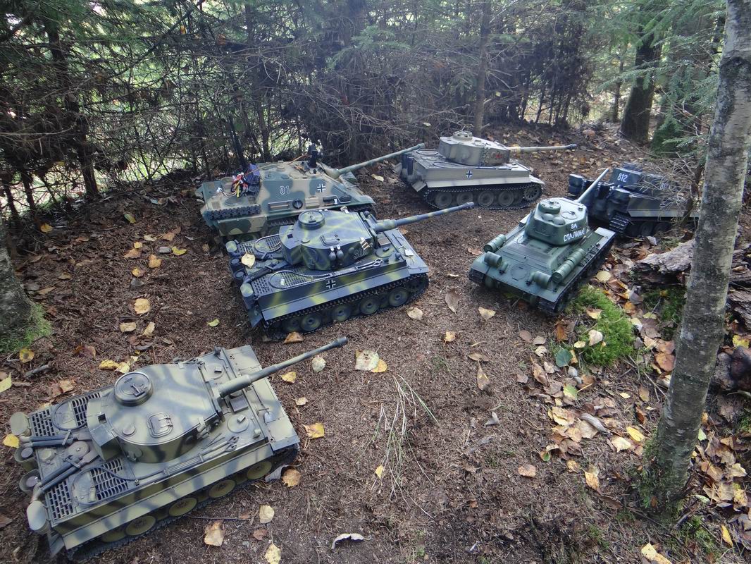 Resize of DSC02008.JPG