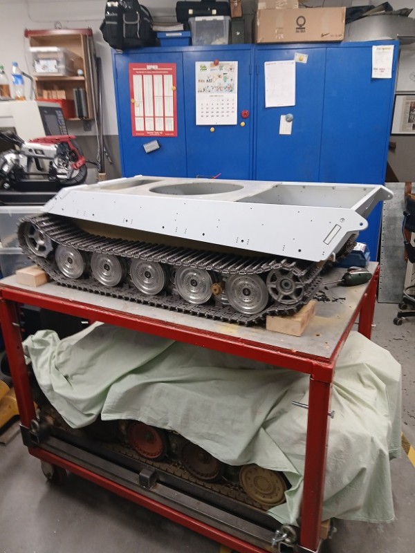 Tiger ifrån sidan.jpg