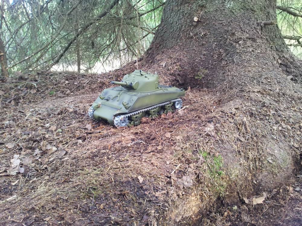 Resize of 20150319_154535.jpg