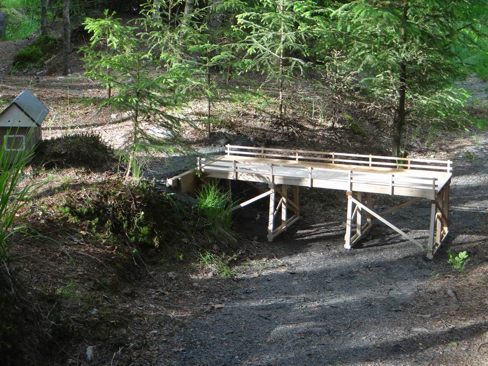 Resize of DSC08968.JPG