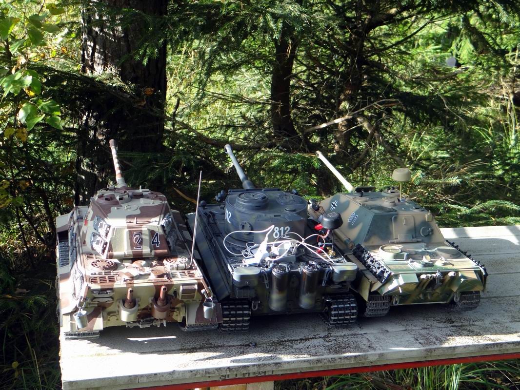 Resize of DSC09385.JPG