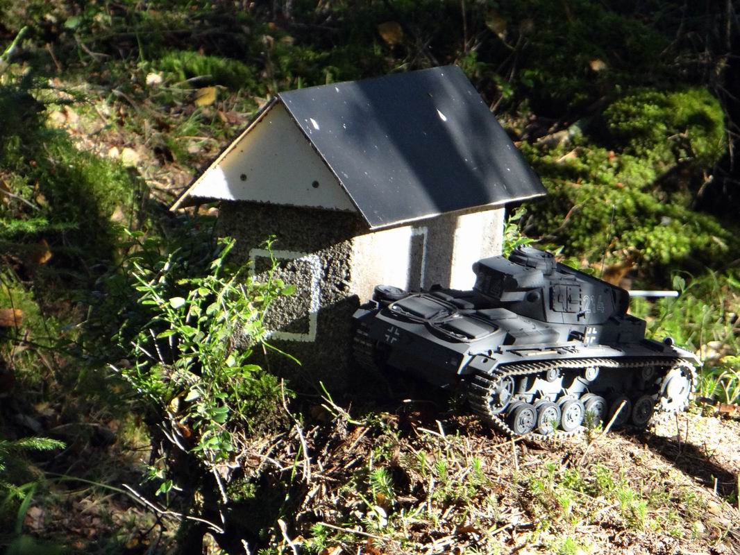 Resize of DSC09390.JPG