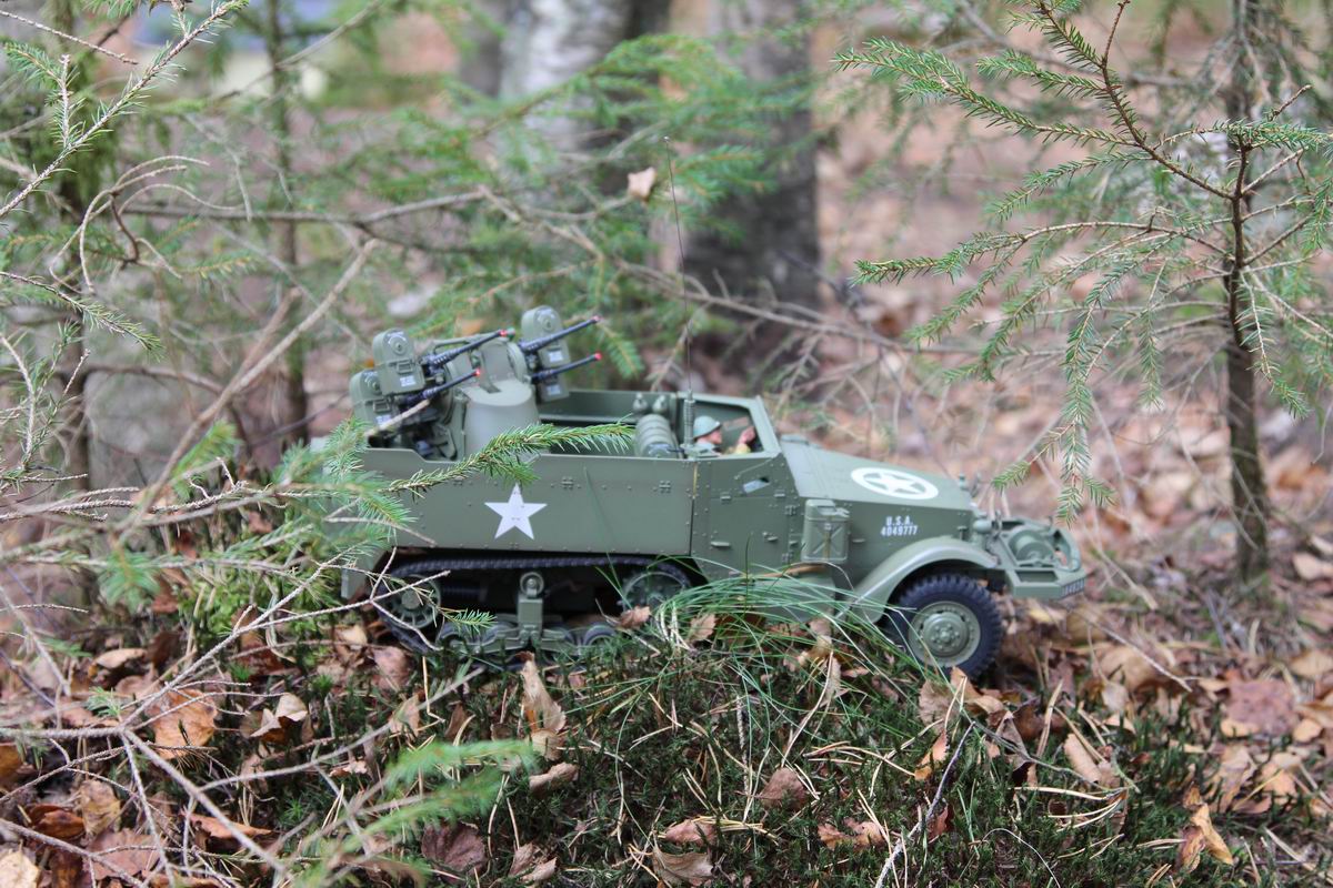 Resize of IMG_2517.JPG