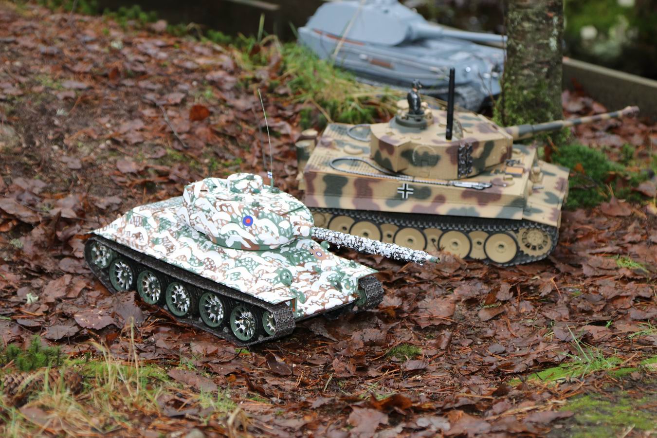 Resize of IMG_8097.JPG