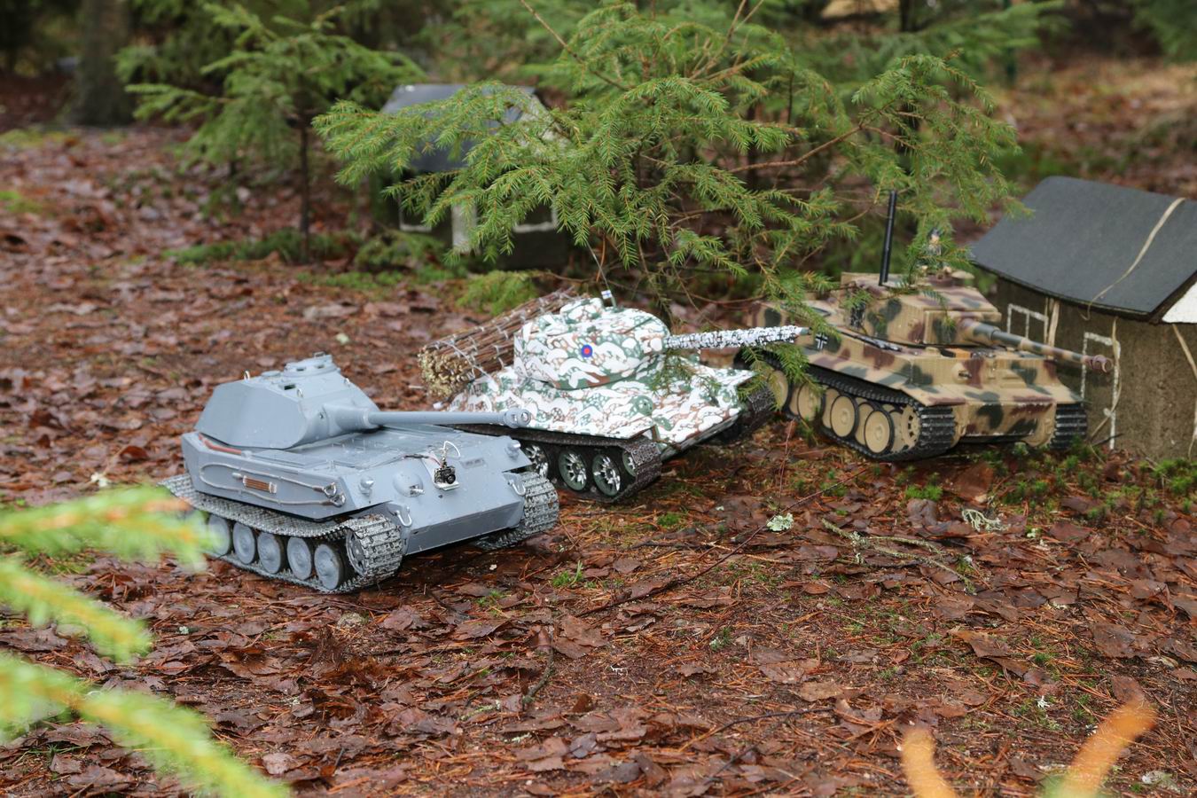 Resize of IMG_8102.JPG