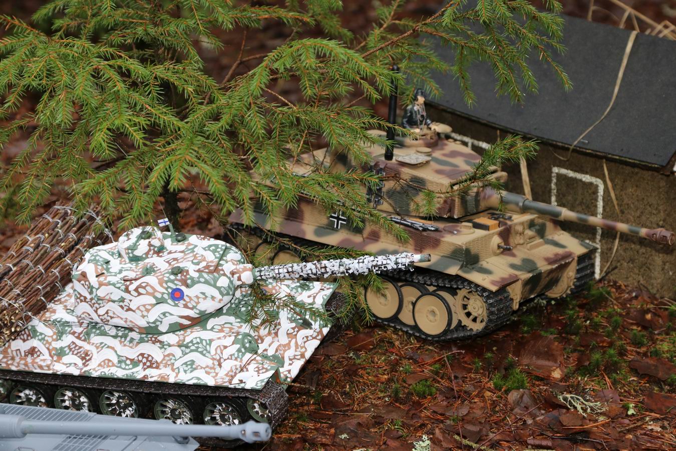 Resize of IMG_8106.JPG