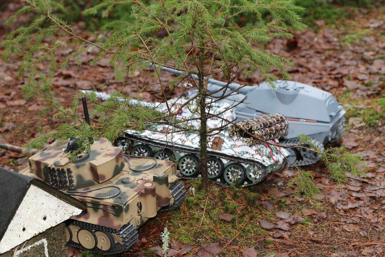 Resize of IMG_8114.JPG