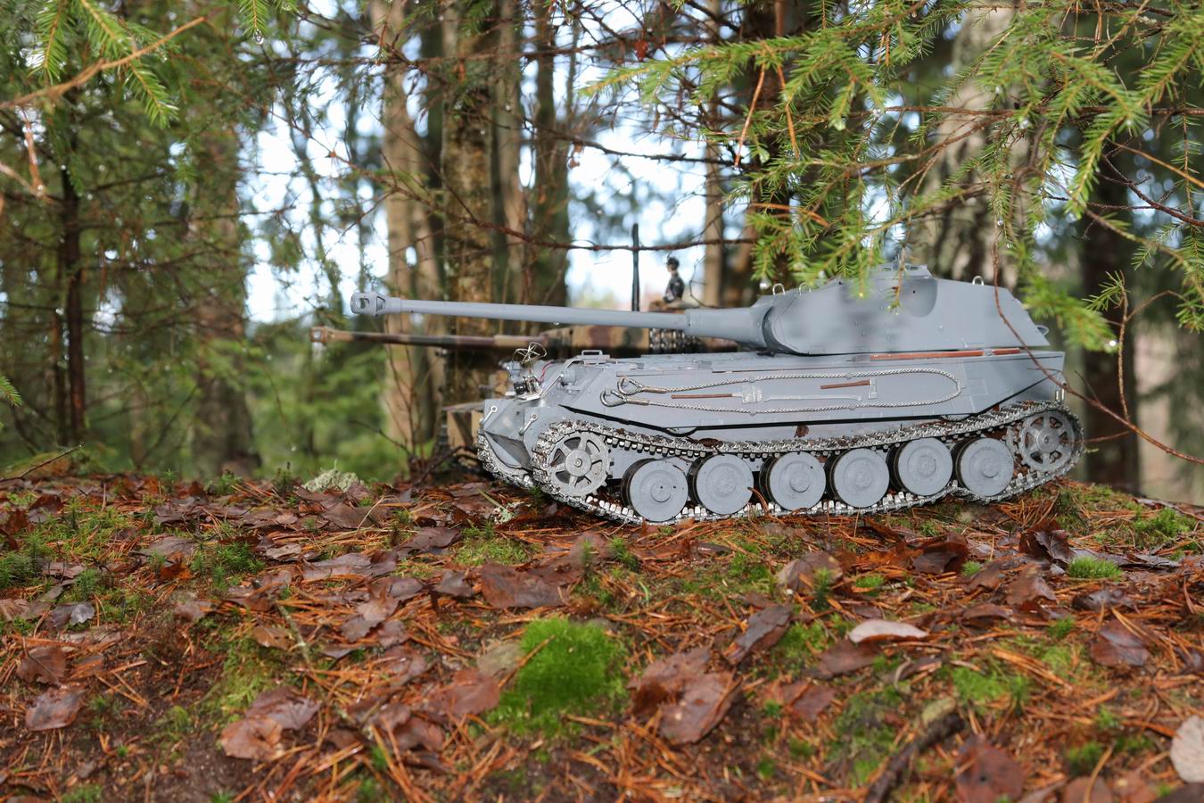 Resize of IMG_8122.JPG