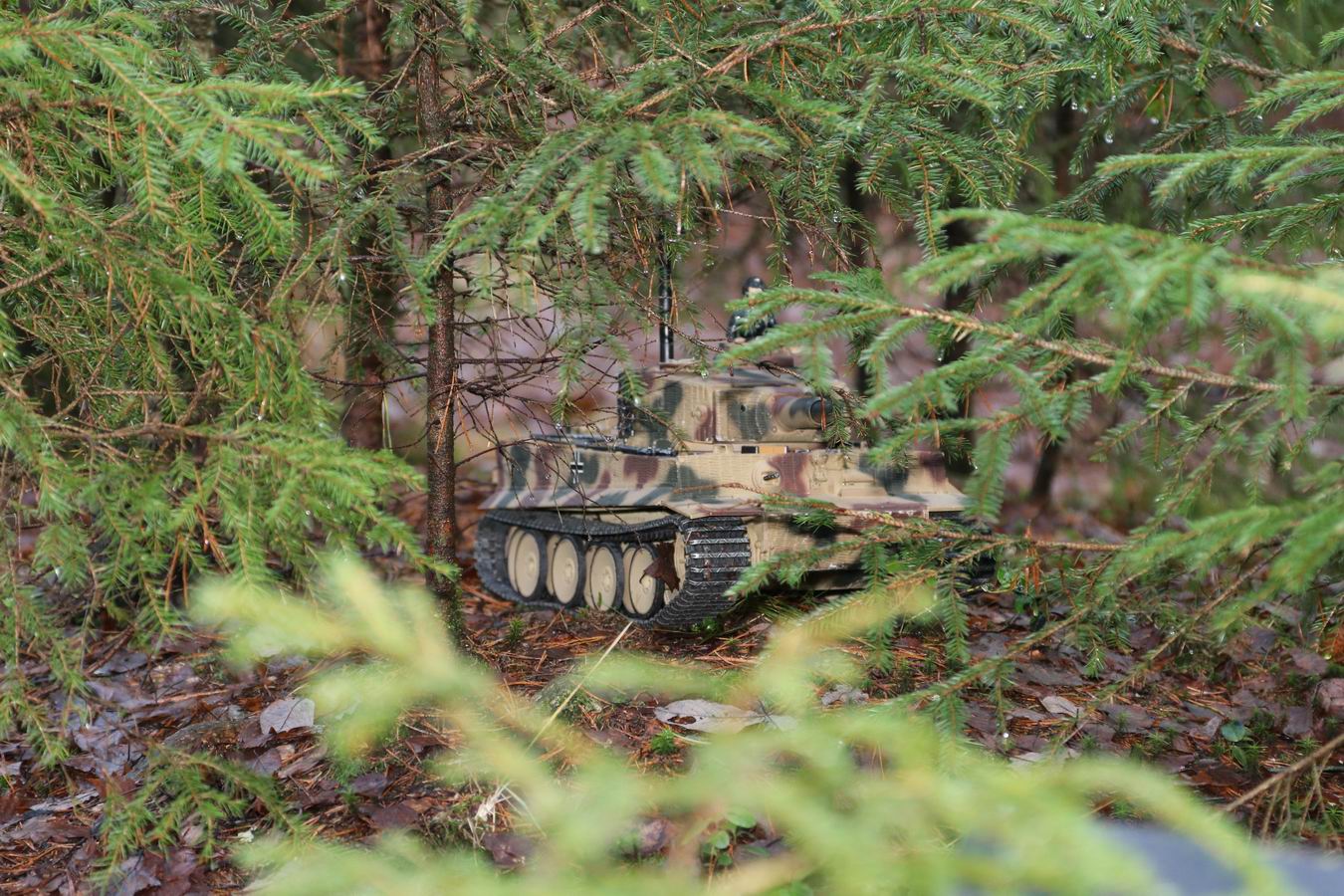 Resize of IMG_8134.JPG