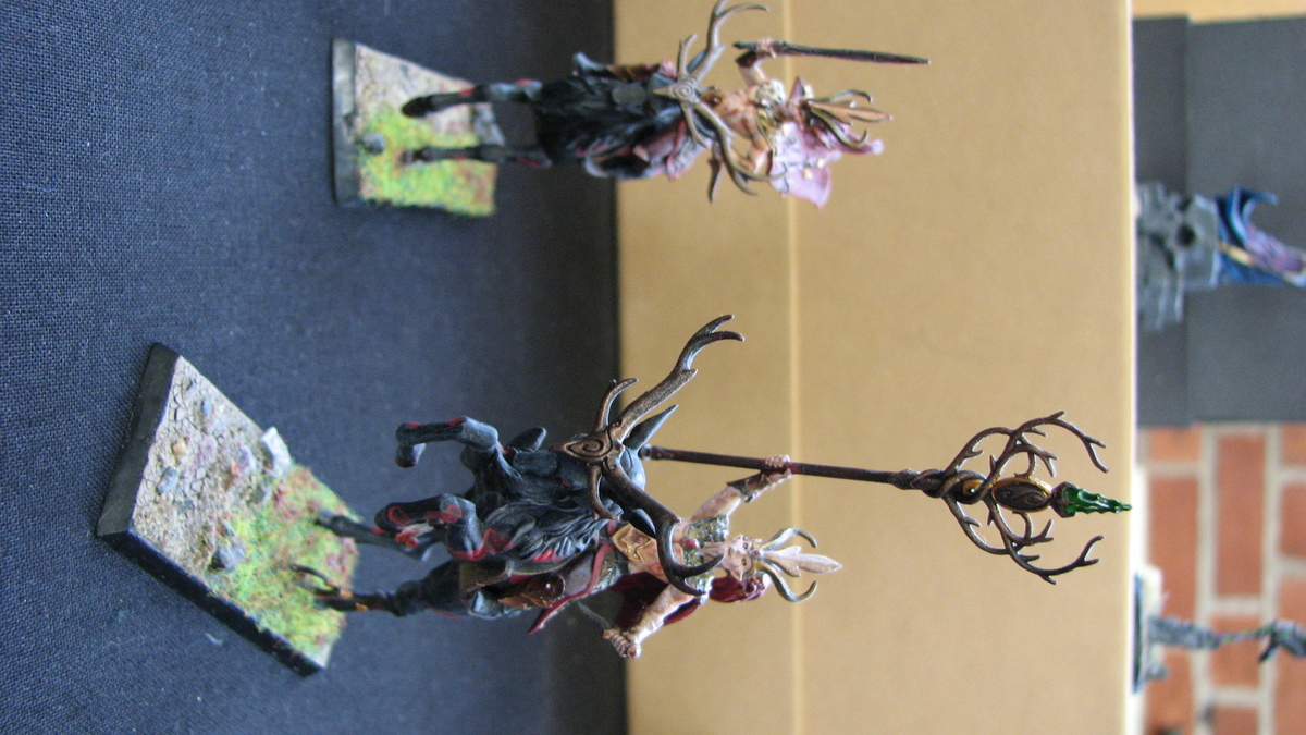 resize-IMG_6305.JPG