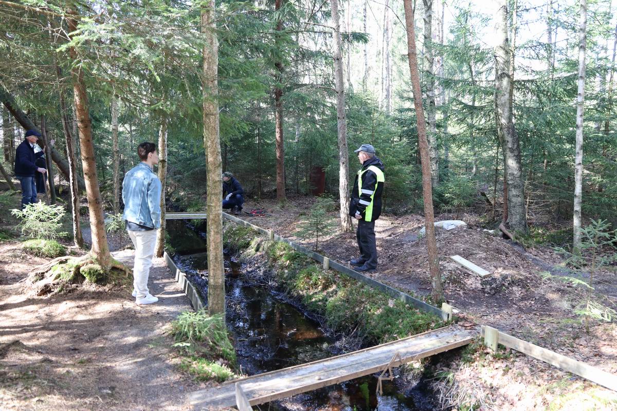 Resize of IMG_2148.JPG