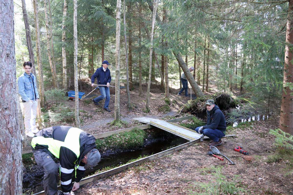 Resize of IMG_2150.JPG