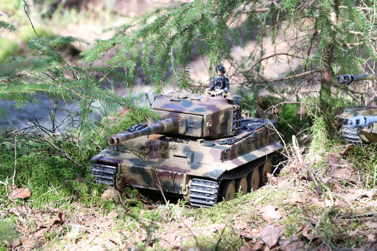 Resize of IMG_2201.JPG