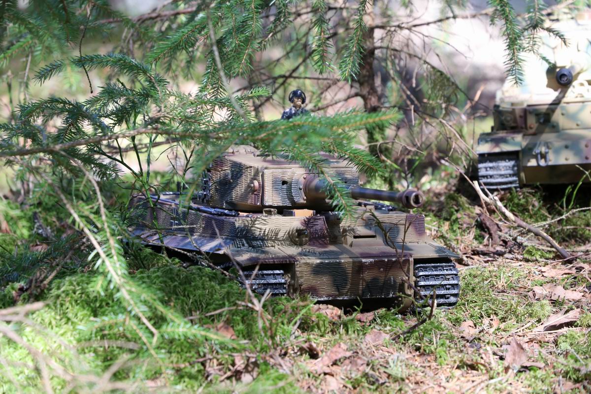 Resize of IMG_2203.JPG