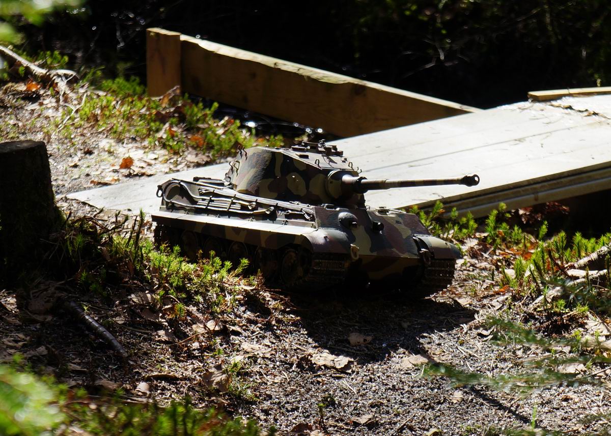 Resize of DSC09289_cr.jpg