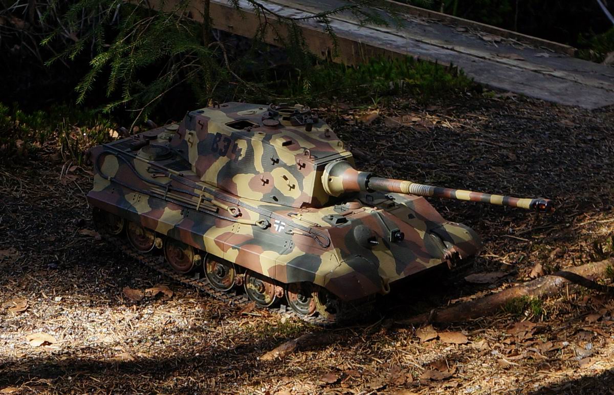 Resize of DSC09291_cr_cr.jpg