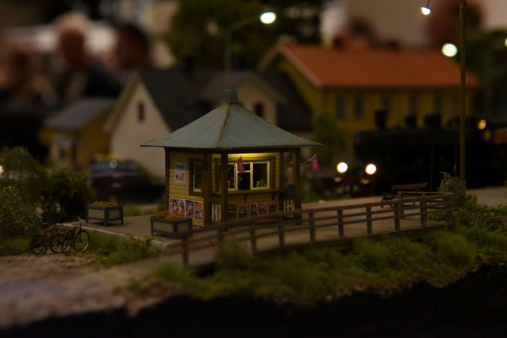 DSC_0513.JPG