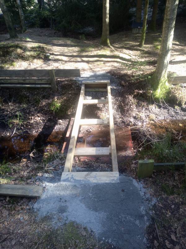 Resize of IMG_20200419_154456.jpg