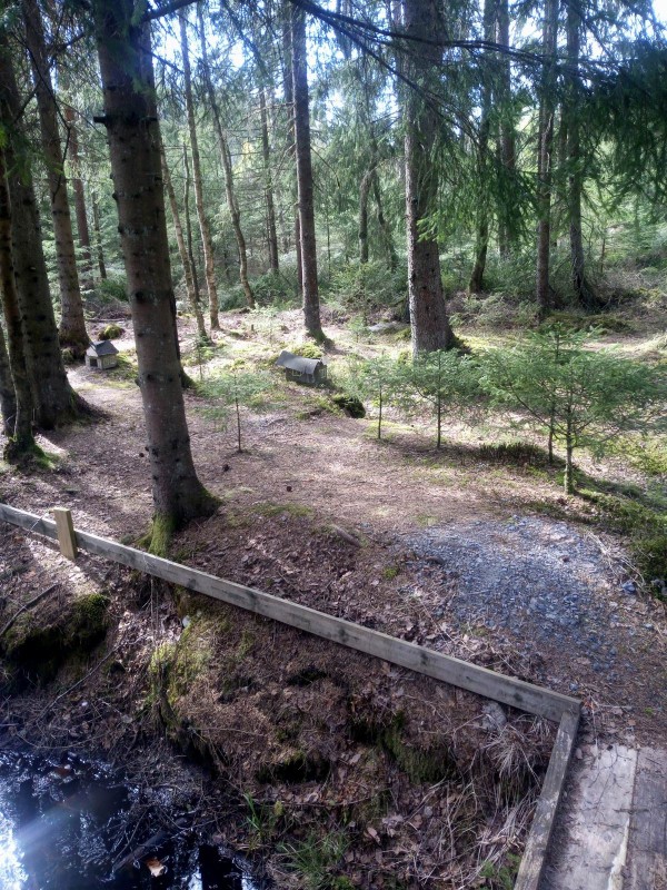 Resize of IMG_20200507_152731c.jpg