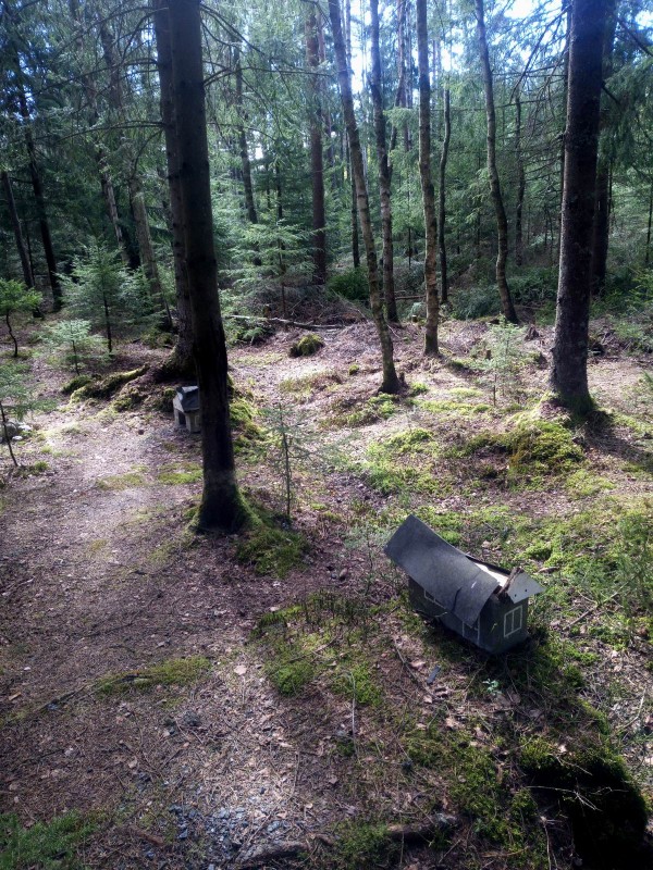 Resize of IMG_20200507_152746c.jpg