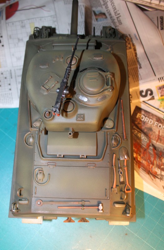 IMG_3544-sherman3.jpg