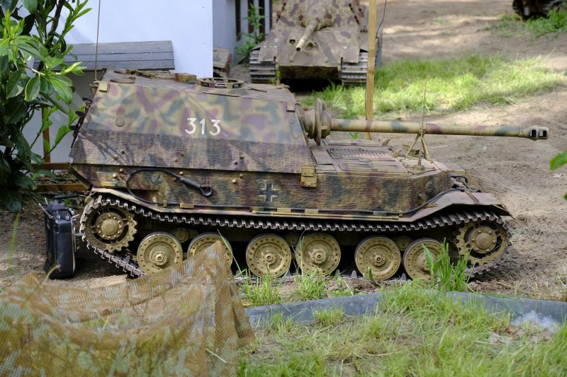 Resize of _DSF3178.JPG