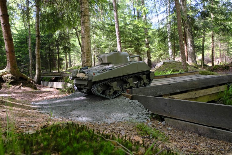 Resize of _DSF3598.JPG