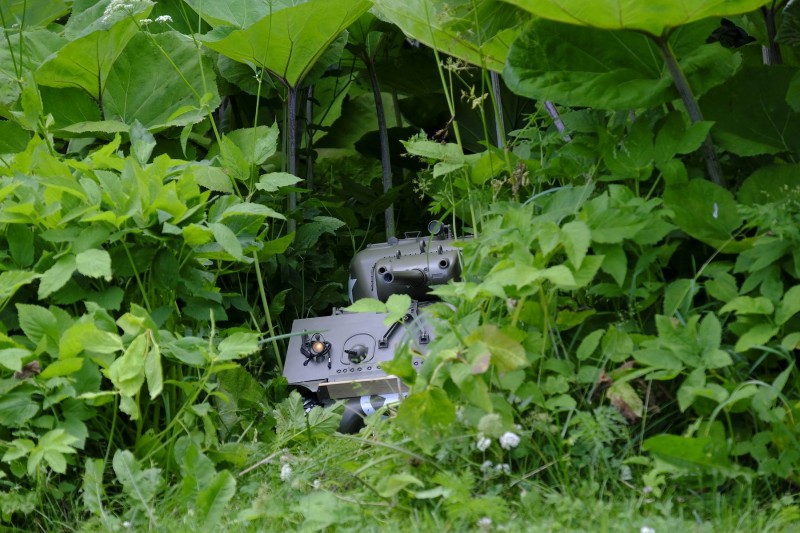 Resize of _DSF3855.JPG