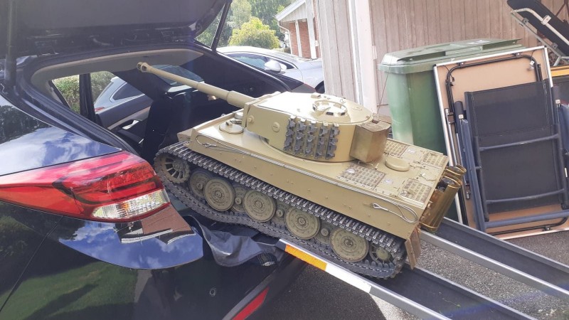 Tiger.jpg