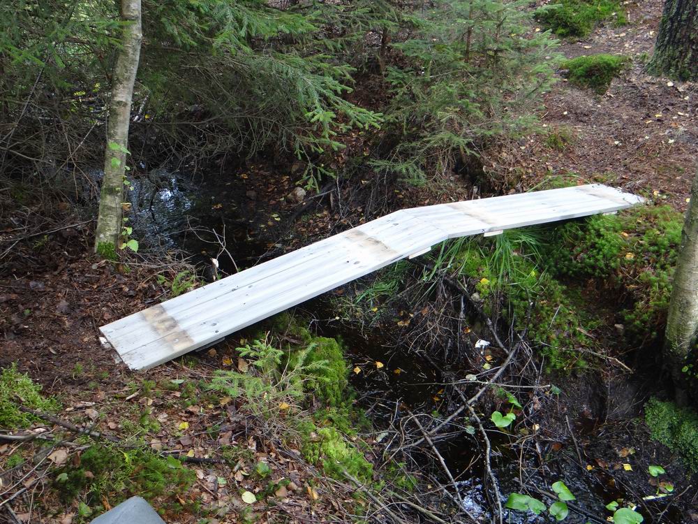 Resize of DSC01550.JPG