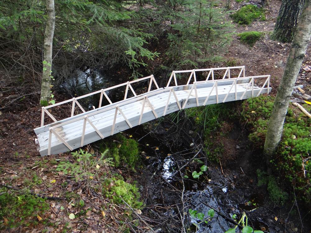 Resize of DSC01554.JPG