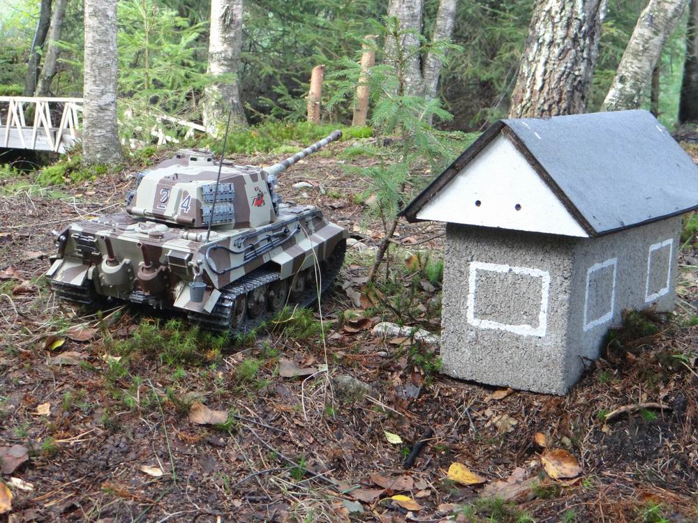 Resize of DSC01578.JPG