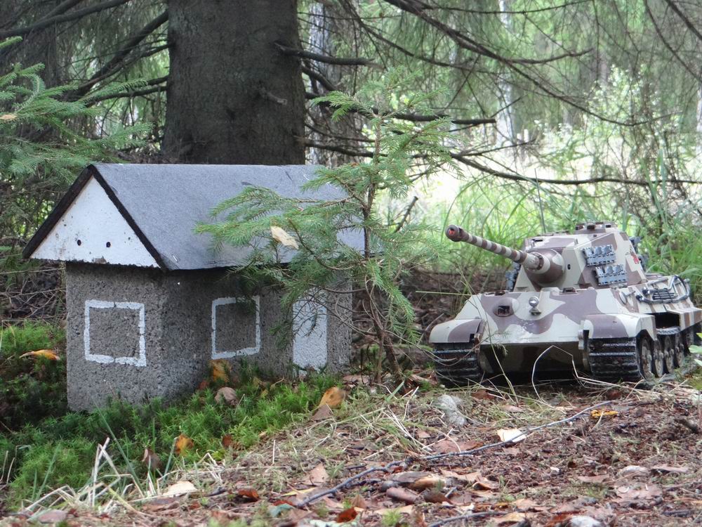 Resize of DSC01580.JPG