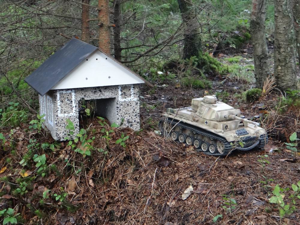 Resize of DSC01633.JPG