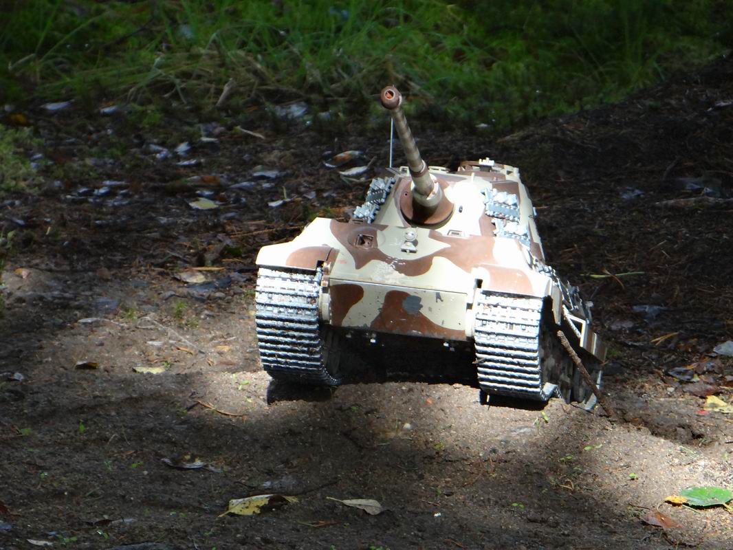 Resize of DSC01657.JPG