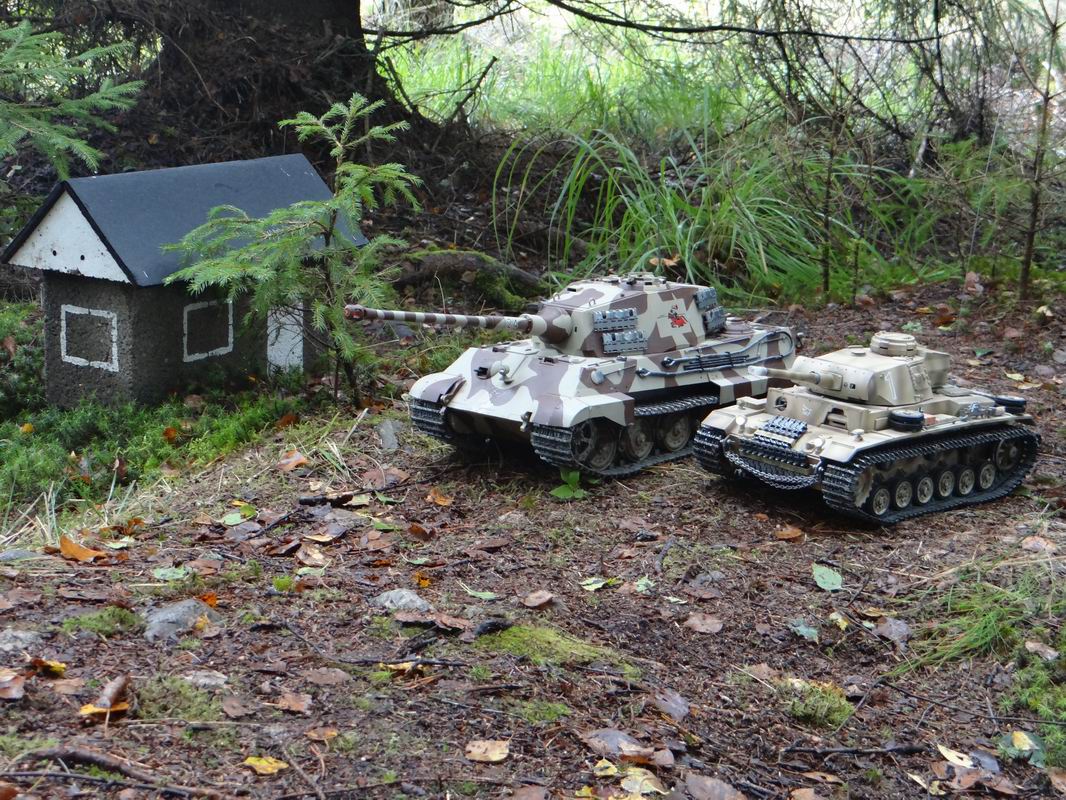 Resize of DSC01661.JPG