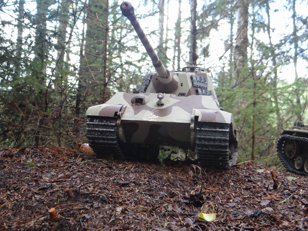 Resize of DSC01677.JPG