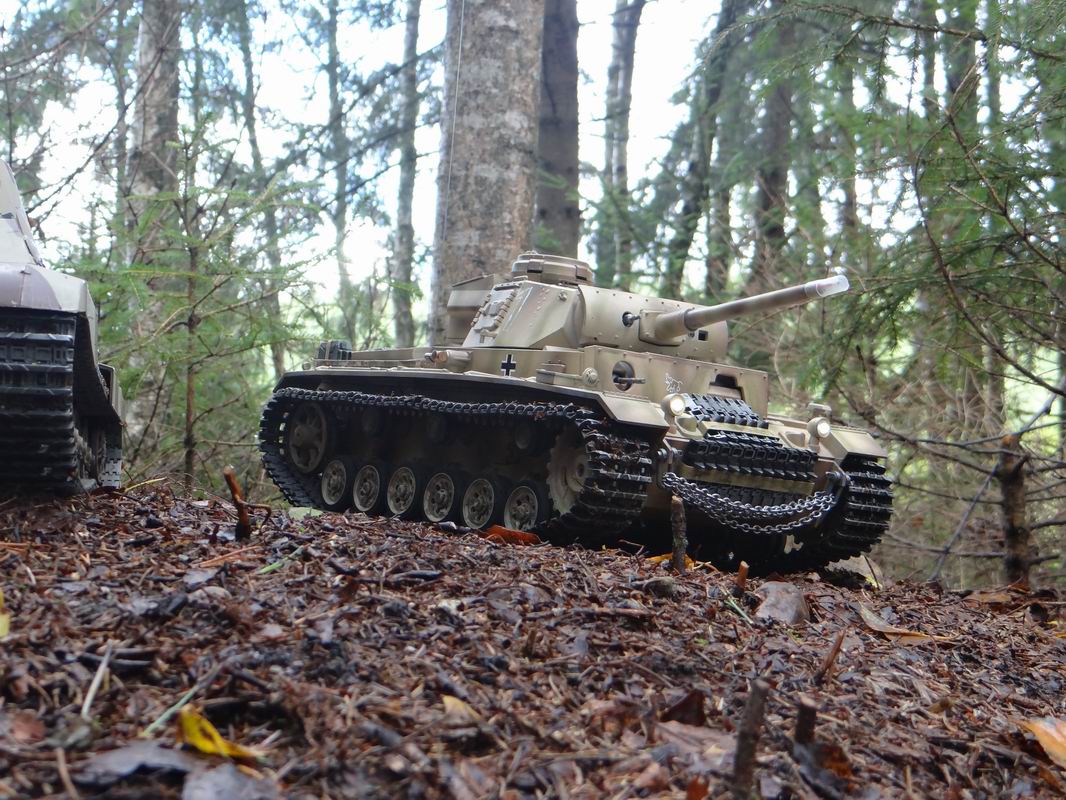 Resize of DSC01678.JPG