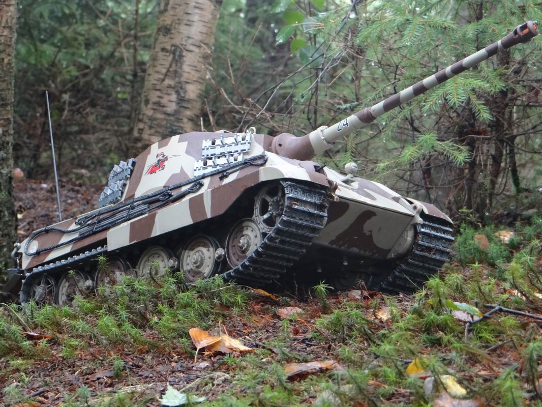 Resize of DSC01683.JPG