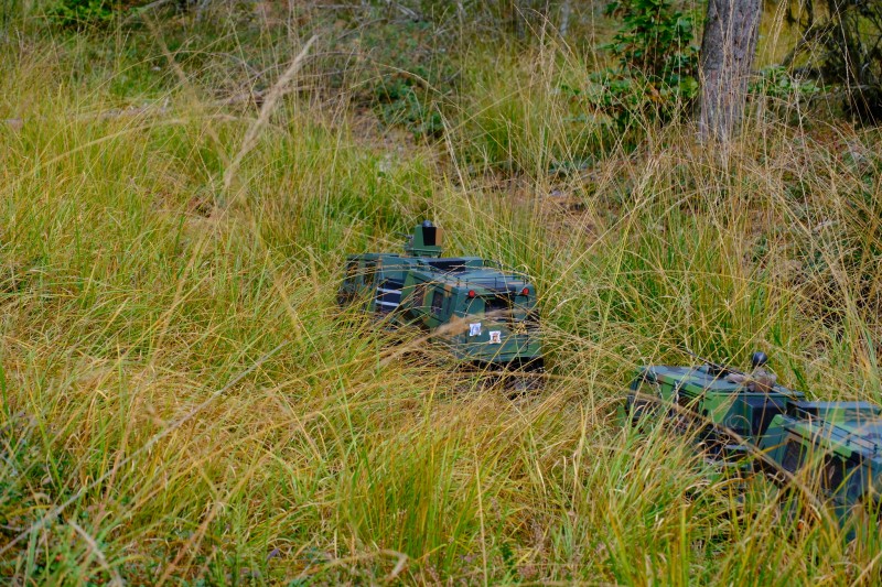 DSCF7419v.JPG