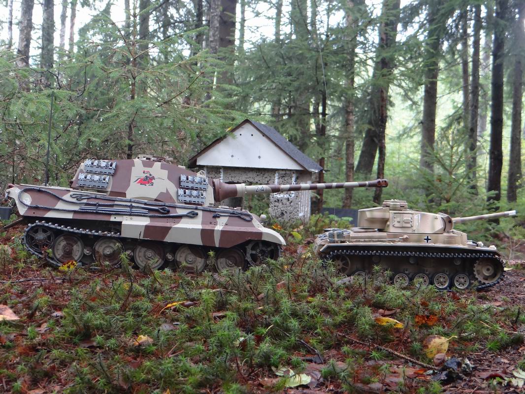 Resize of DSC01684.JPG