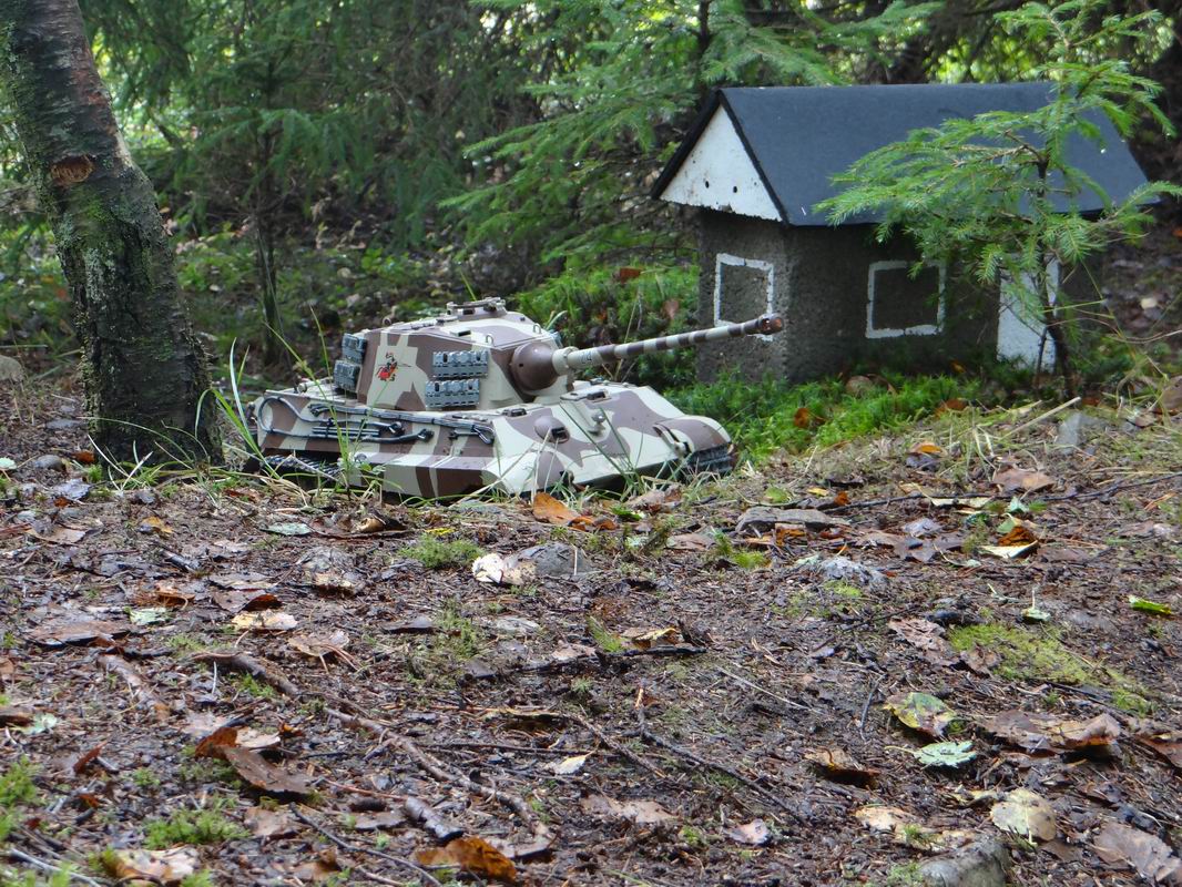 Resize of DSC01689.JPG