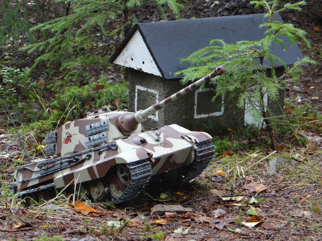 Resize of DSC01691.JPG