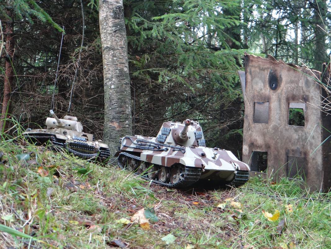 Resize of DSC01697.JPG