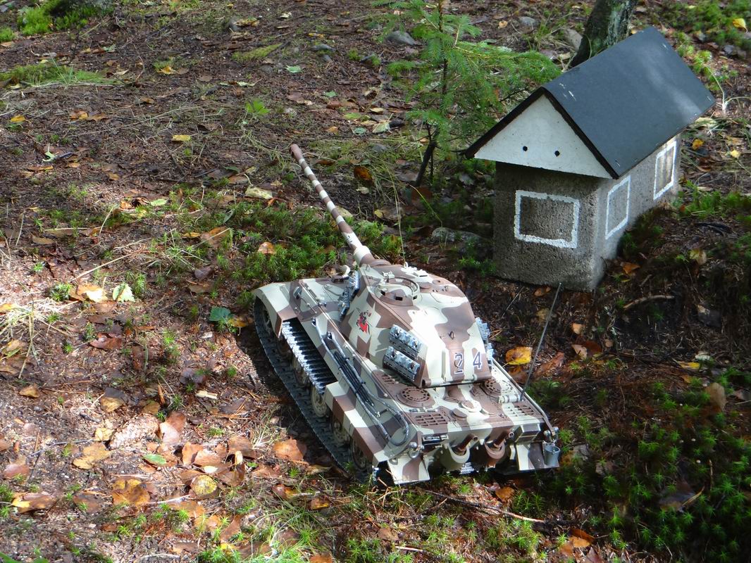 Resize of DSC01653.JPG