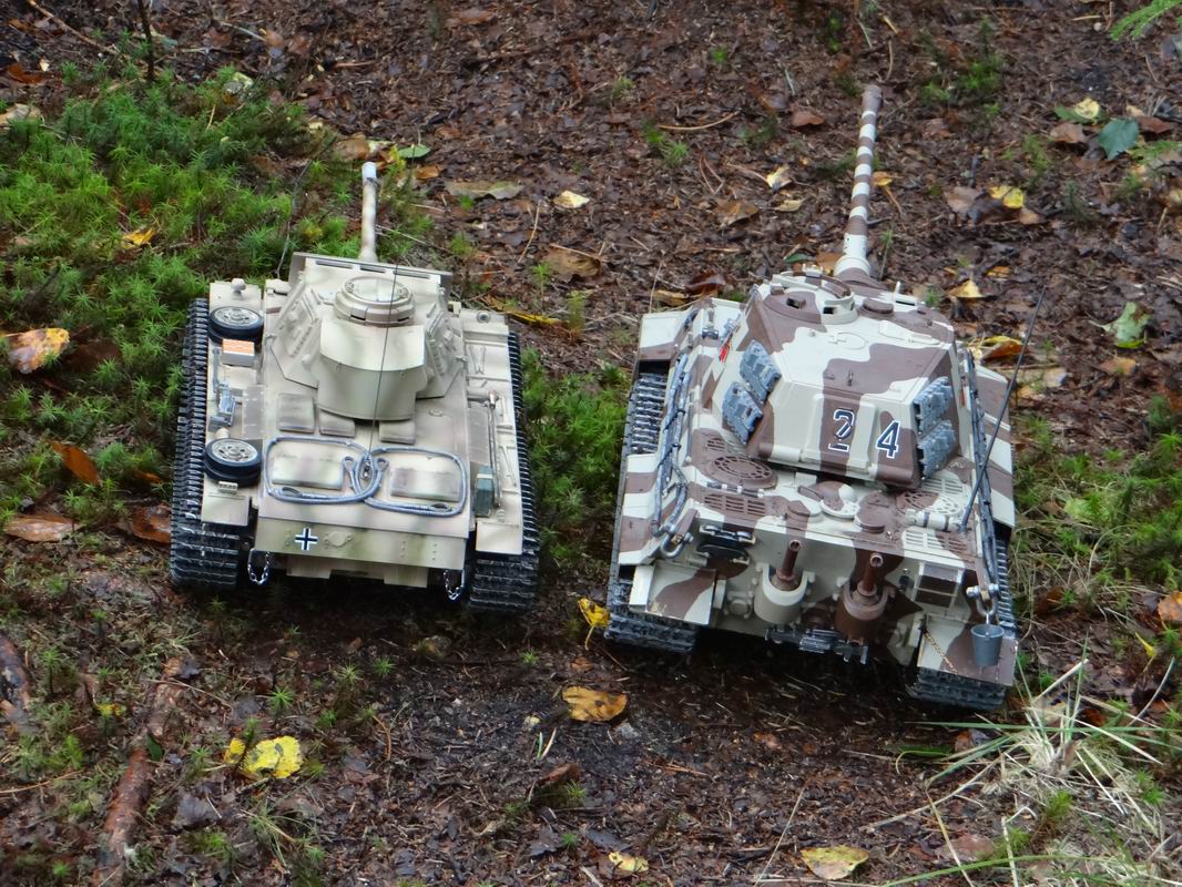 Resize of DSC01672.JPG