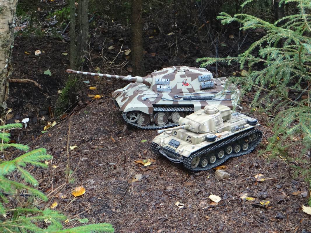 Resize of DSC01674.JPG