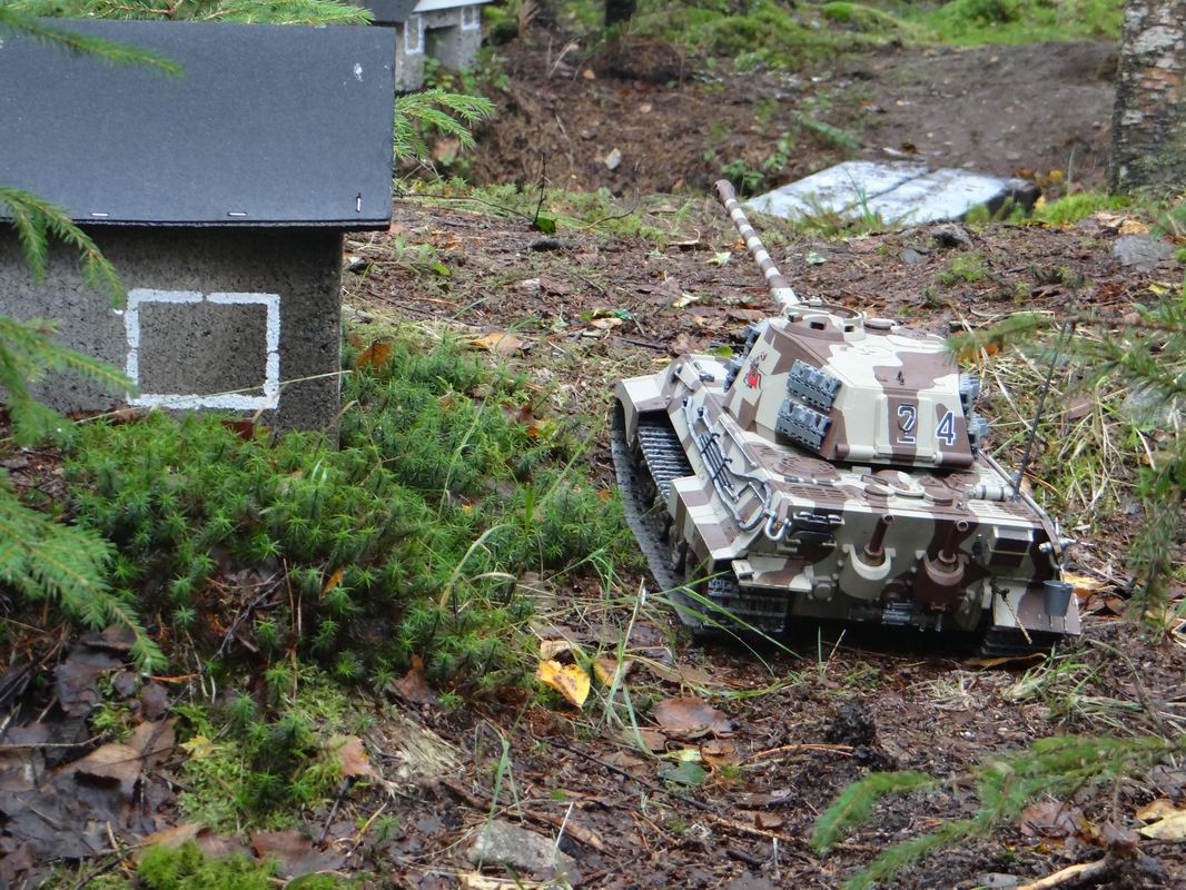 Resize of DSC01688.JPG